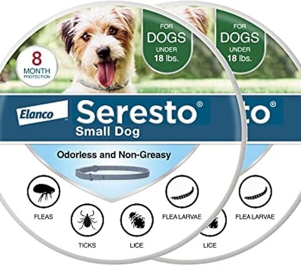 Seresto Flea Collar for Cats – Long-Lasting Pest Protection