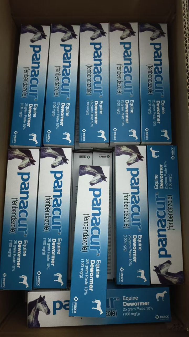 Pet Supplies2